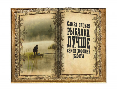 Рыбалка лучше работы книга