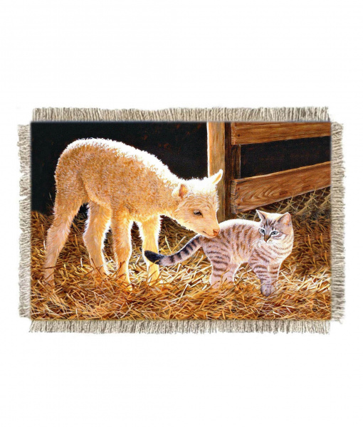 Агнец и котёнок