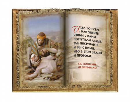 Добрый самарянин книга